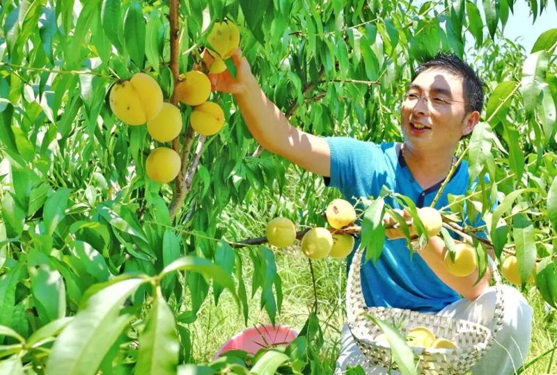 如何挑选适合你的现代化养殖基地？