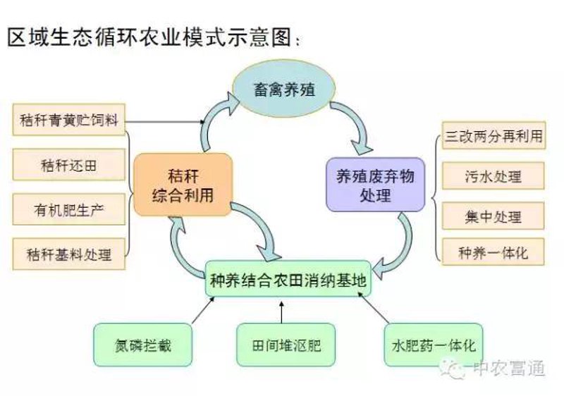 孝昌生态农业：绿色崛起的新希望