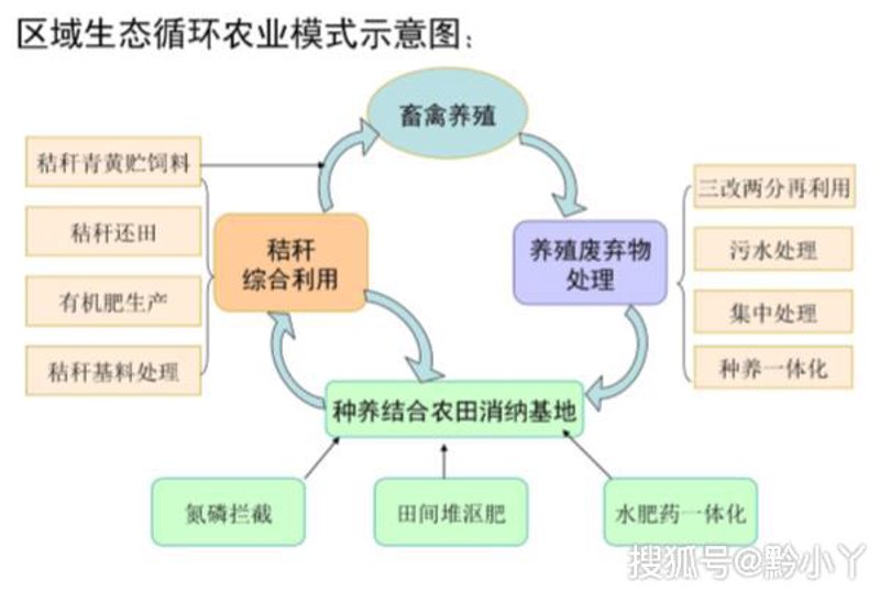 有机蔬菜选购全攻略