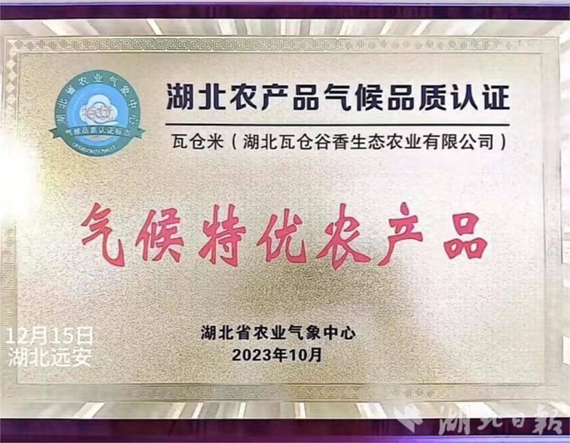 生态种植：农业绿色转型的新篇章