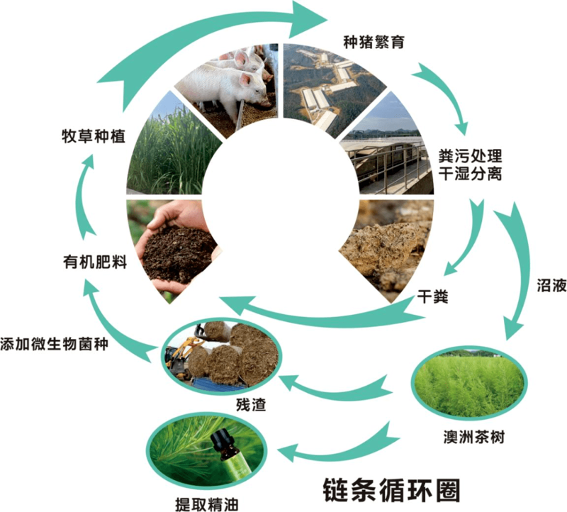 生态循环农业