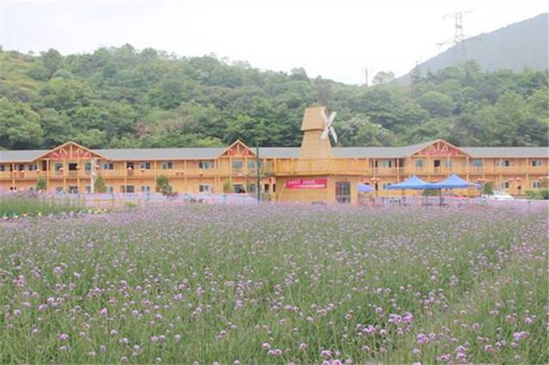 养殖基地：现代农业的绿色脉络