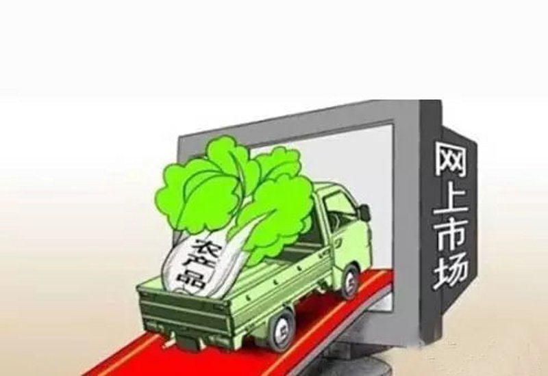 走进现代化养殖基地：绿色、健康、高效